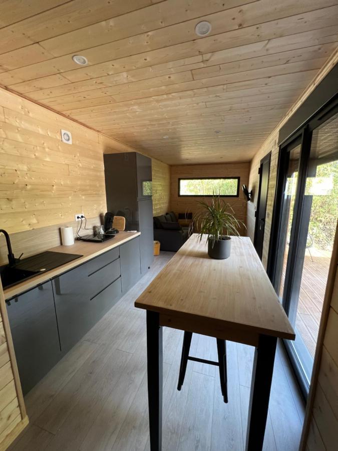 Chalet 1 Contemporain Dans Son Ecrin De Verdure 蒙托邦 外观 照片